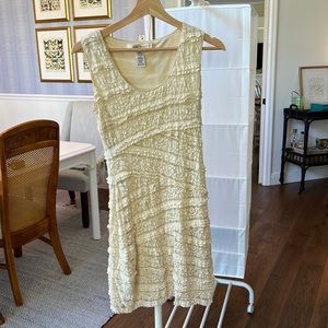 Max Studio fitted sleeveless lace dress